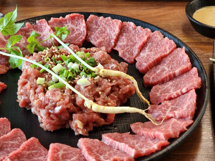 창원 남양동 맛집 한우육회와 육사시미가 맛있는 낙곱새 플러스82