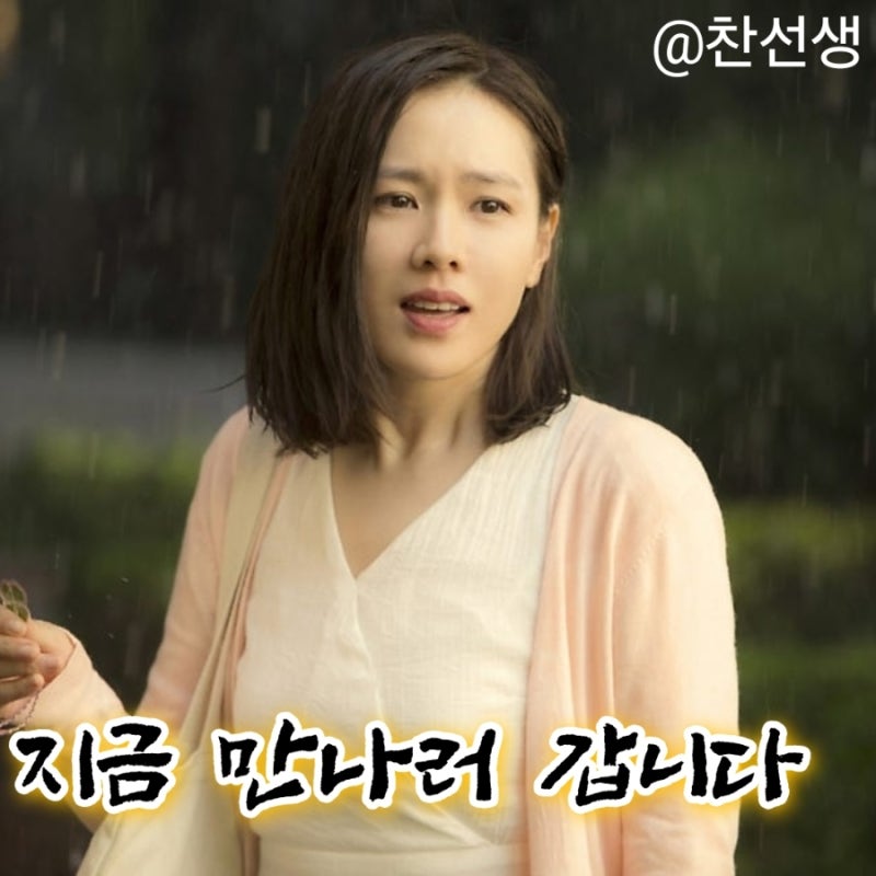 영화 지금 만나러 갑니다(한국) 정보 줄거리 결말 출연진 평점 소지섭 손예진 김지환 고창석 ....