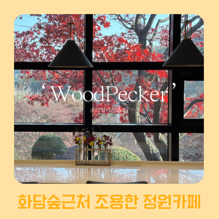  카페 우드페커 | 화담숲 근처 조용한 정원 카페 단풍 뷰 맛집