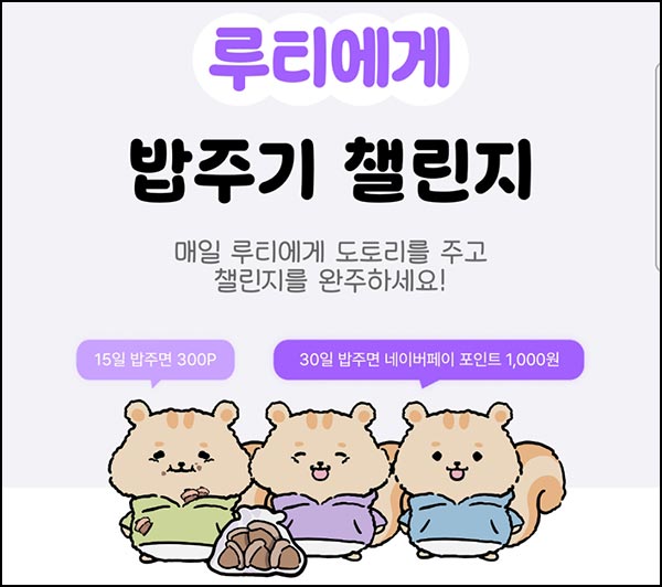  루티 출석체크 이벤트(네페 1천원+@)전원
