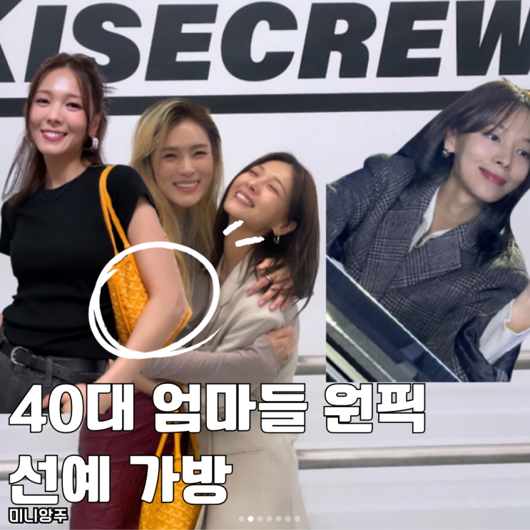  40대 엄마가방 원픽인 고야드 미니앙주 사이즈 가격