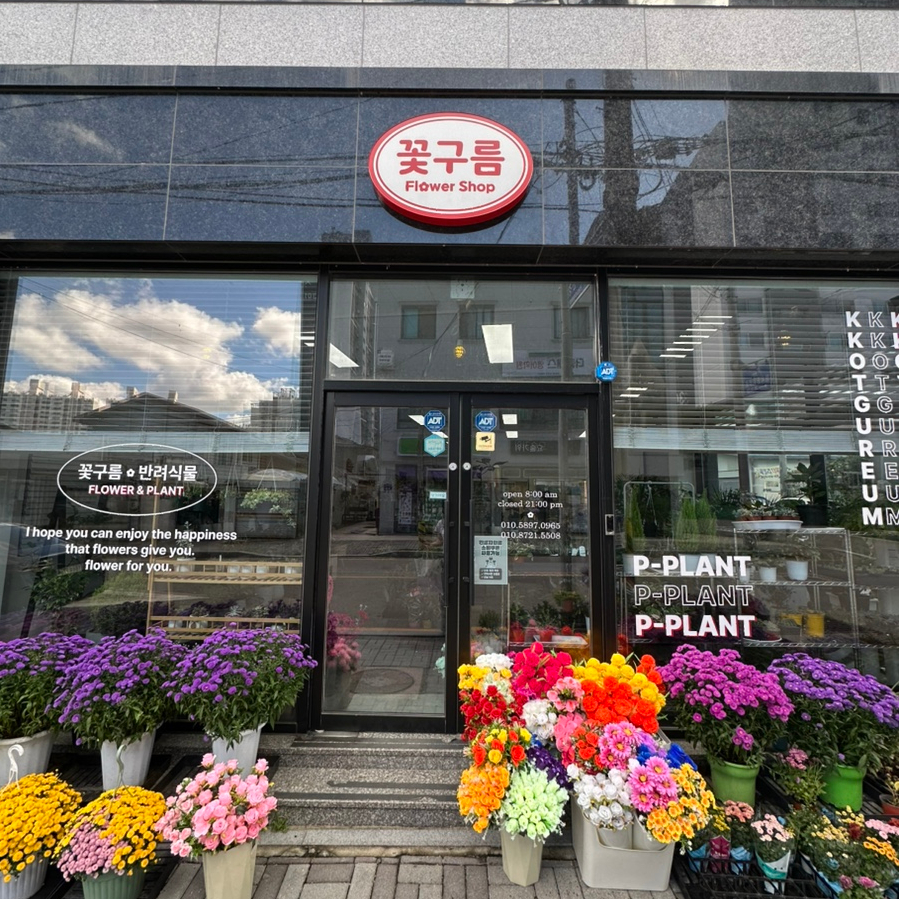 꽃구름 사진 1
