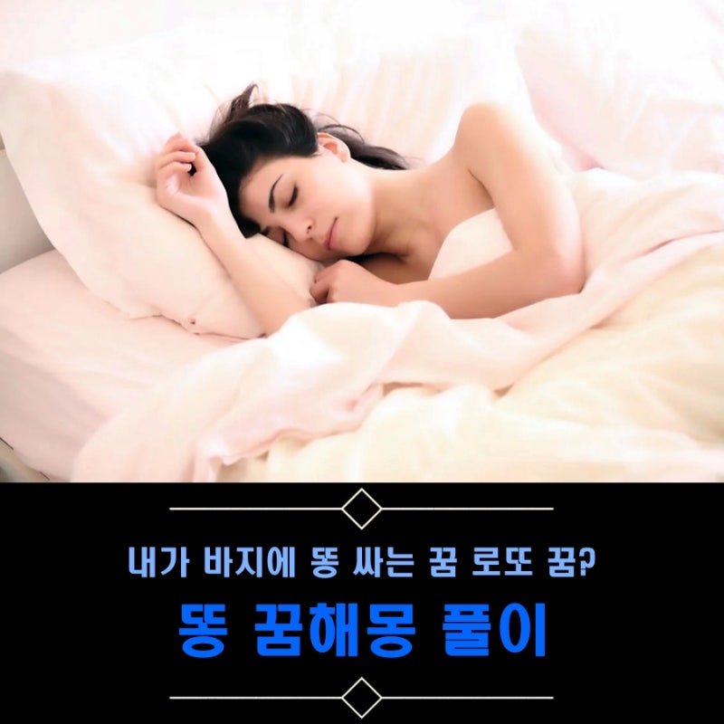 내가 바지에 똥 싸는 꿈 로또 꿈? 똥 꿈해몽 풀이