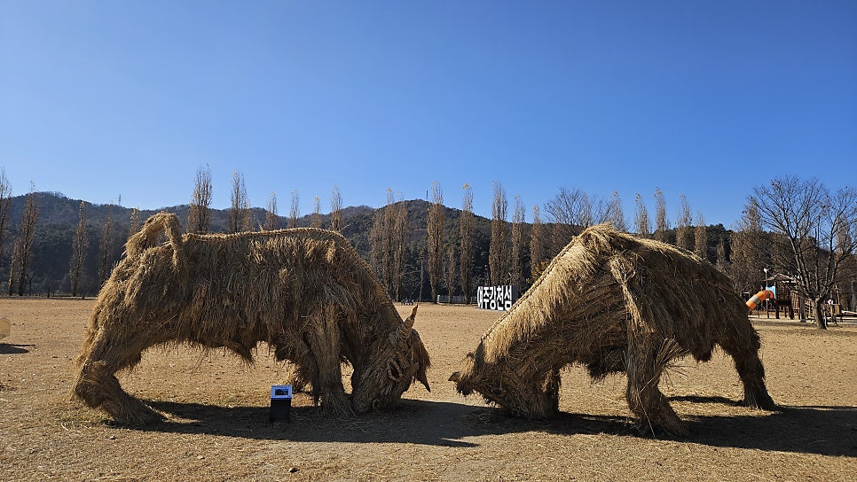 만추 사진 4