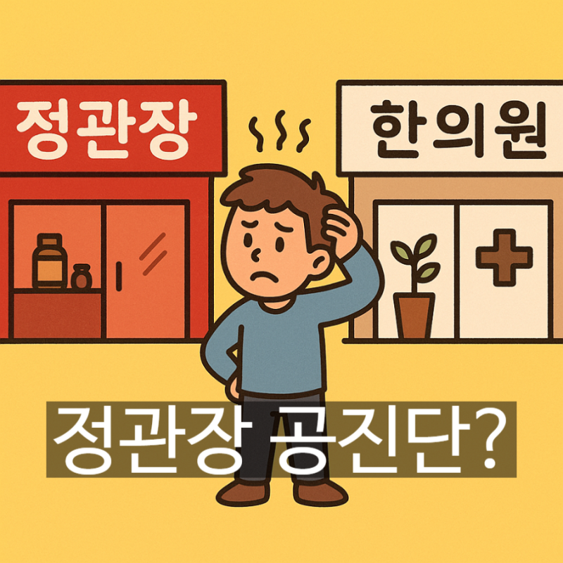 정관장 공진단 가격 효능 [한의원과 차이점]