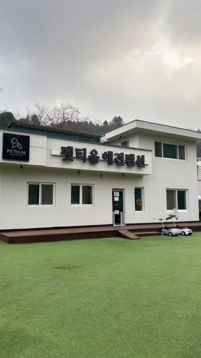 사진 3