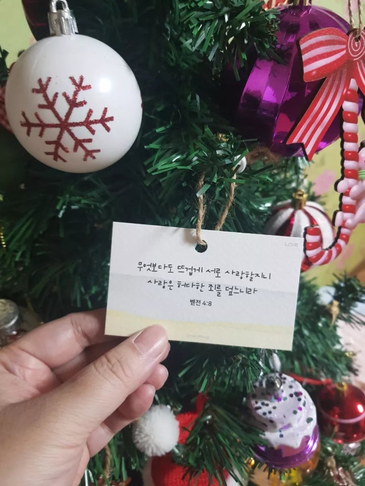  사랑하고 감사하며 살자️