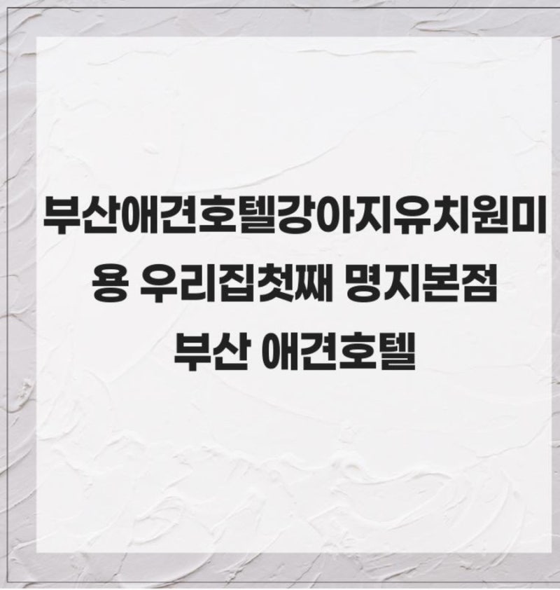 부산애견호텔강아지유치원미용 우리집첫째 명지본점