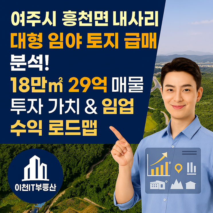  여주시 흥천면 내사리 대형 임야 토지 급매 분석! 18만 29억 매물 투자 가치 & 임업 수익 로드맵 (이천IT부동산