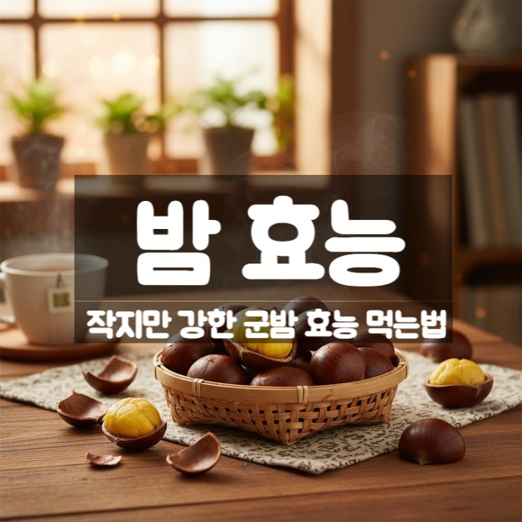  밤 효능 부작용 먹는법 - 겨울철 군밤 한봉지에 담긴 에너지