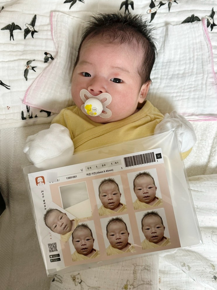  아이여권사진 셀프증명앱으로 셀프여권사진 촬영 배송 하루안에 해결