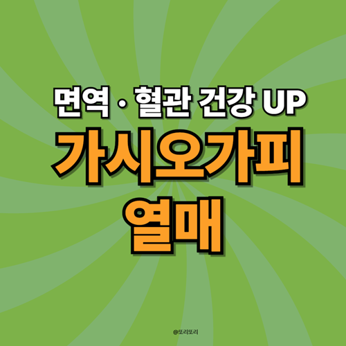 가시오가피열매 수확시기·활용법·효능