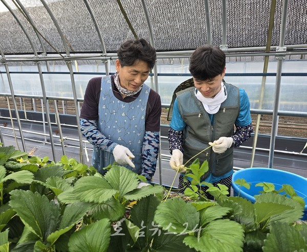 청년이 돌아오고 농촌이 살아나는 강진군 귀농설계도