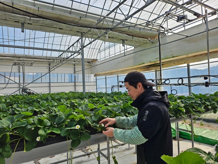  실패 없는 귀농, 강진이라 가능했다! '살아보기'부터 '스마트팜'까지 청년 정착 로드맵