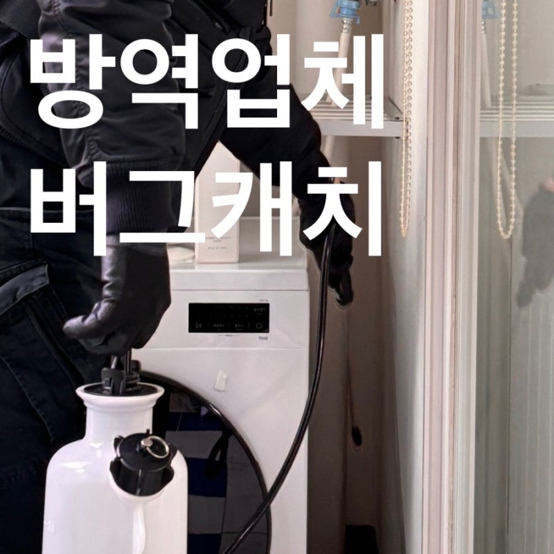 부산방역업체 버그캐치 바퀴벌레 퇴치를 위한 방역 후기