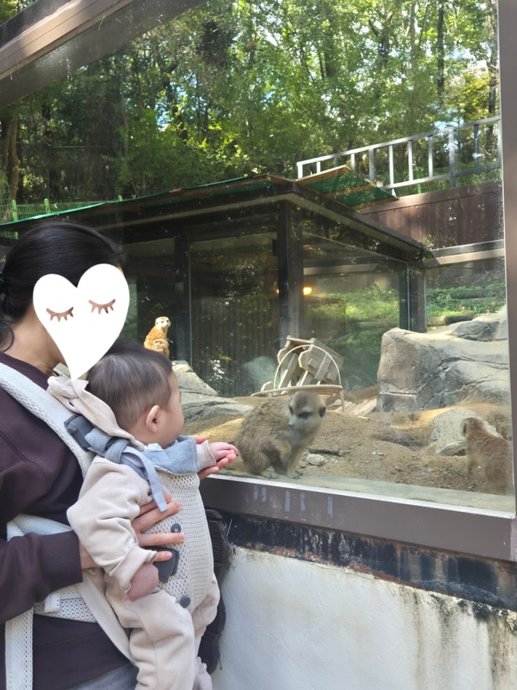  추억의 진주 진양호 동물원 아기랑 가볼만한 곳 입장료