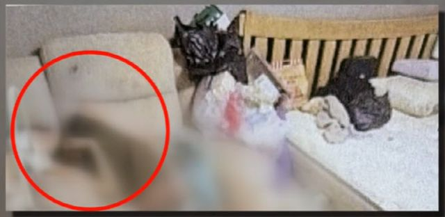 '구더기 아내' 발견 당시 상황 공개..."주변에 변 덩어리"
