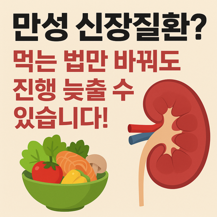  만성 신장질환 식습관 – 단백질·나트륨 관리가 핵심입니다