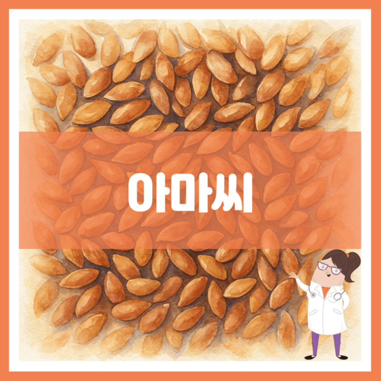  아마씨 효능 섭취방법 부작용