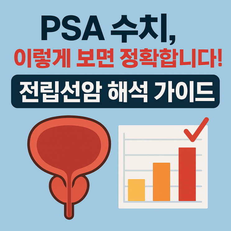   PSA 수치 해석법, 전립선암 검사 제대로 이해하기