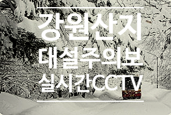  강원산지 대설주의보 한라산 오대산 태백산 설악산 국립공원 실시간 CCTV 영상