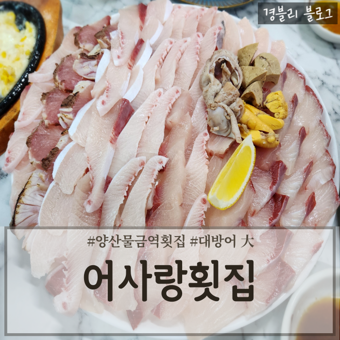  양산물금횟집 양산대방어맛집 물금역횟집추천 '어사랑횟집'