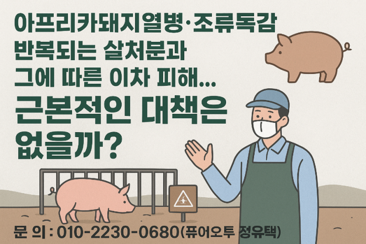 아프리카돼지열병·조류독감 반복되는 살처분과 그에 따른 이차 피해… 근본적인 대책은 없을까?