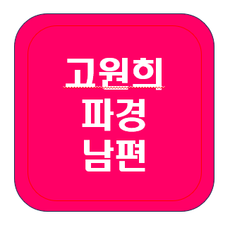 고원희 파경 소식 ; 결혼, 남편, 나이, 디씨