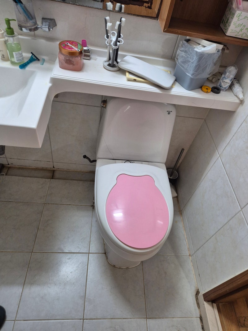 파주 양변기 교체 시공 현장 1