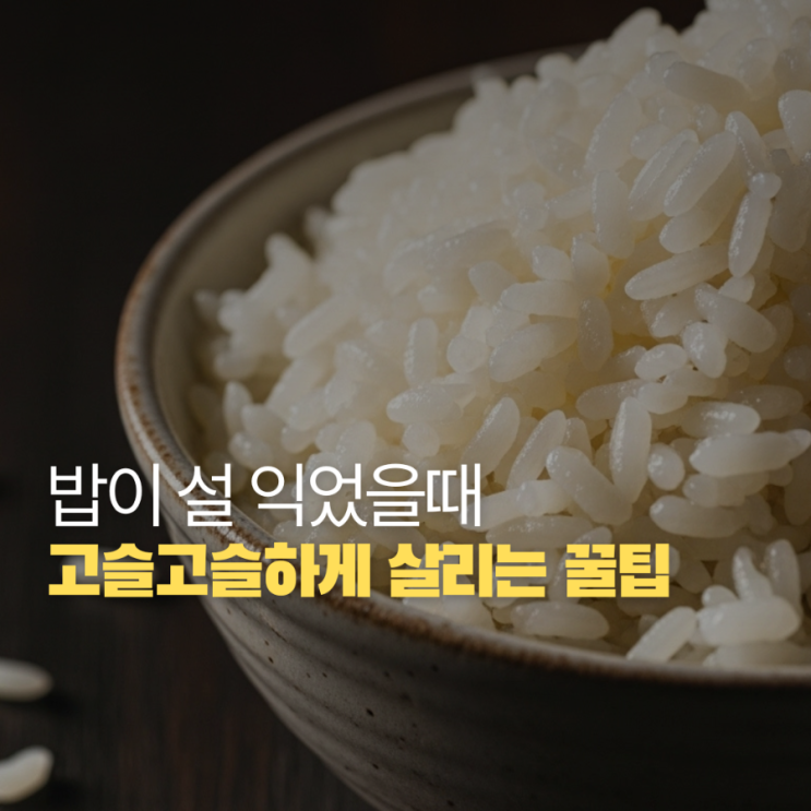  밥이 설익었을때 바로 복구하는 법 고슬고슬 살리는 꿀팁