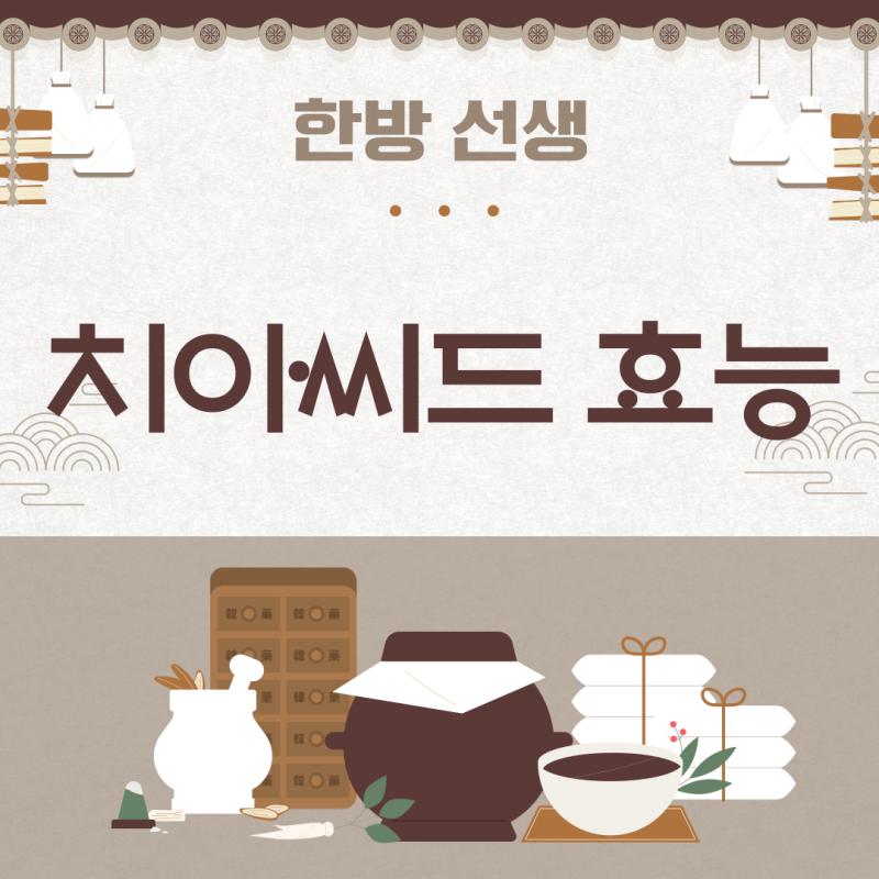 치아씨드의 효능 섭취 방법 부작용 주의사항 요거트 토핑 추천 먹는법 변비