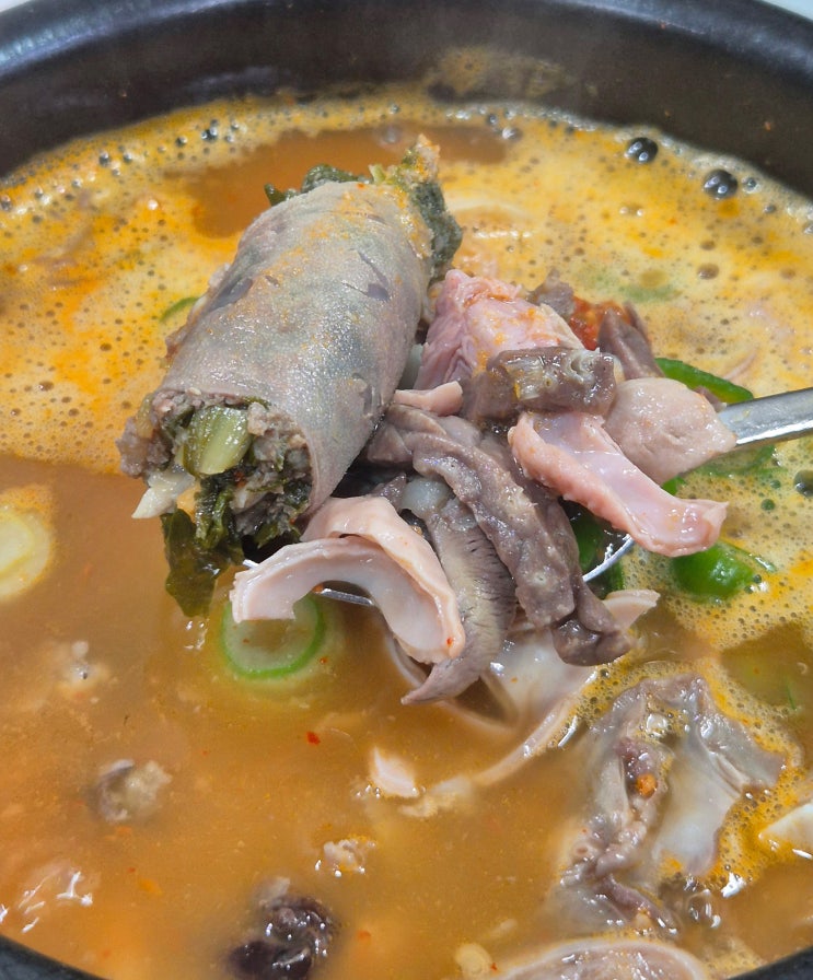  서울 석계역/돌곶이역 순댓국 맛집 '백암토종순대' 시래기가 들어간 특별한 순대! 정말 맛있었다 최고