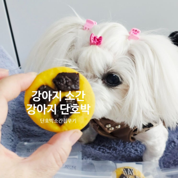  강아지 소간 간식 찾고 있다면 이 조합을 꼭 보세요