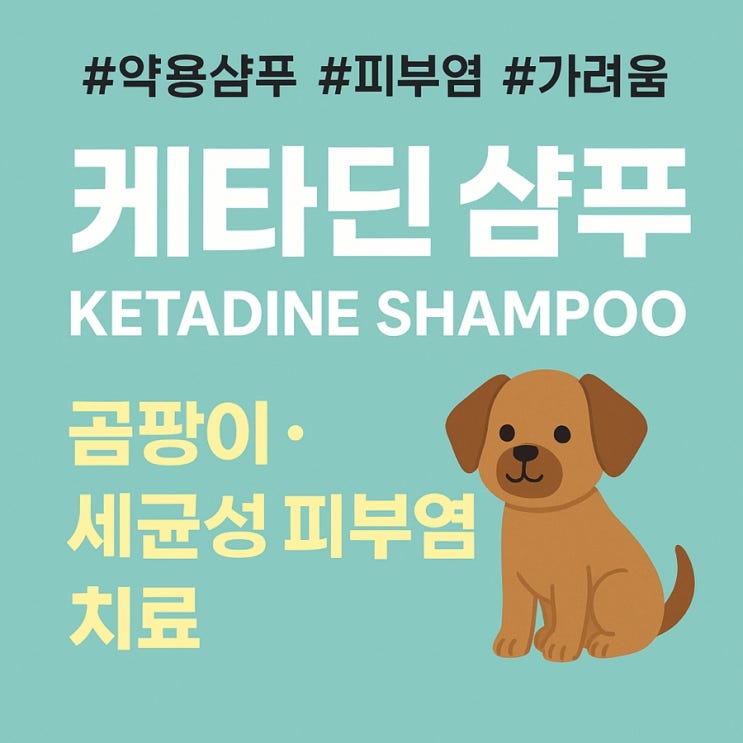  약사가 알려주는 강아지 약용샴푸 '케타딘 샴푸'