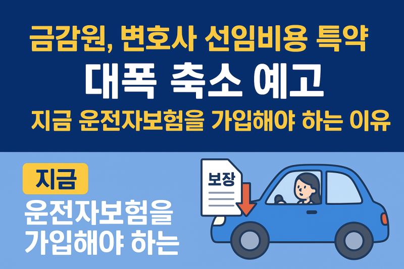 금감원, 변호사 선임비용 특약 ‘대폭 축소’ 확정