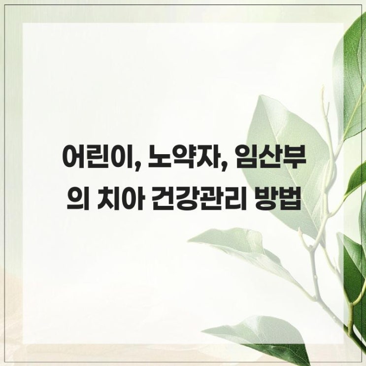  어린이, 노약자, 임산부의 치아 건강관리 방법