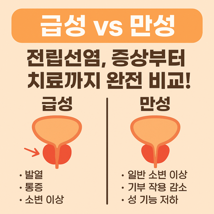   전립선염, 급성과 만성은 완전히 다릅니다! 차이·증상·치료 한 번에 정리