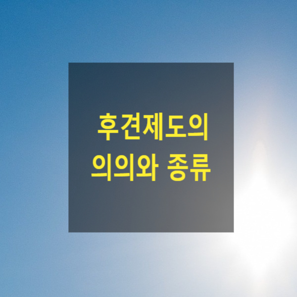  후견제도의 의의와 종류(1)(미성년후견, 성년후견, 한정후견, 특정후견, 임의후견)