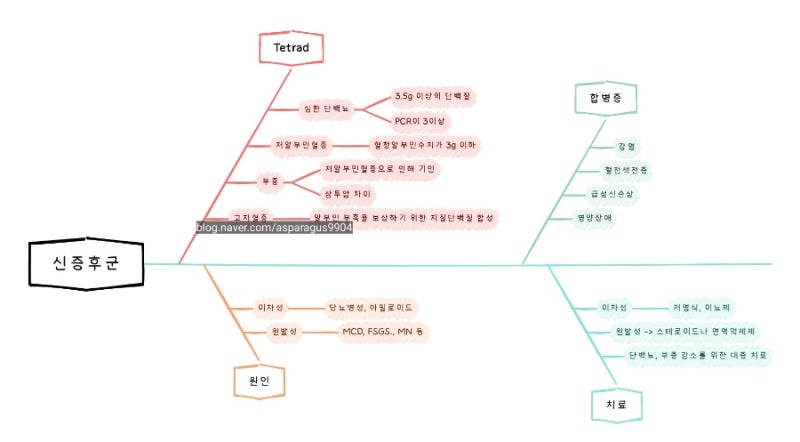 심한 단백뇨와 저알부민혈증, 부종 등의 신증후군