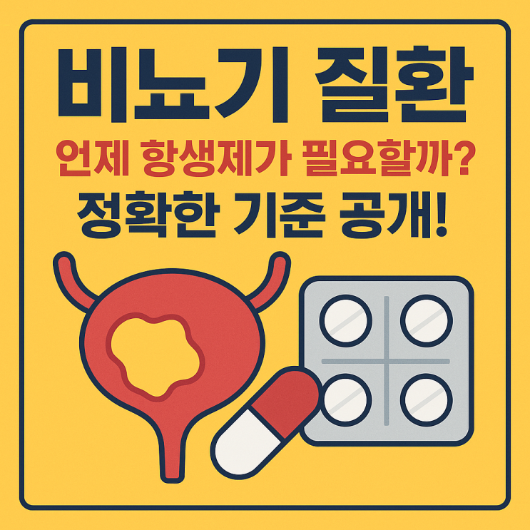   비뇨기 질환에서 항생제가 필요한 경우 완전 정리