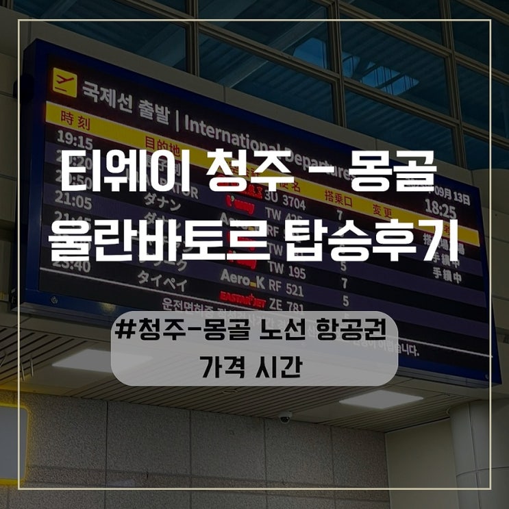  티웨이 청주-몽골 울란바토르 공항 탑승후기 (ft.청주 몽골 노선 항공권 가격 시간)