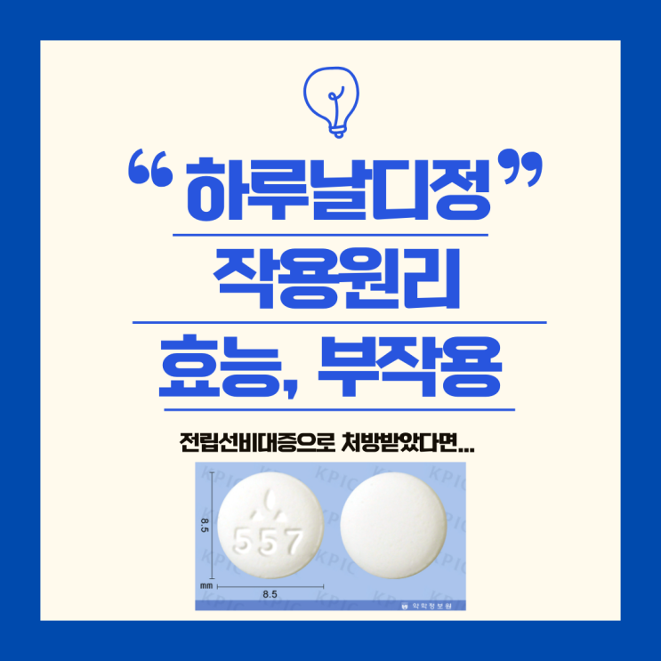  하루날디정 작용원리 알면 효능 부작용 한눈에 보여요