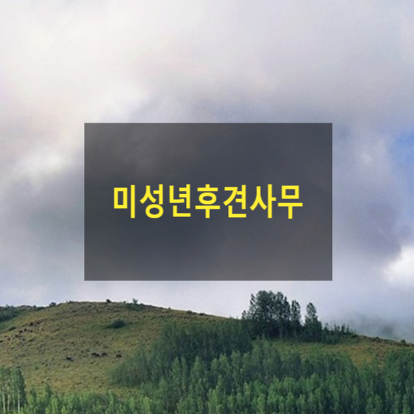  미성년후견사무(3)(미성년자, 미성년후견인, 친권자, 보호, 교양, 동의권, 대리권, 가정법원)