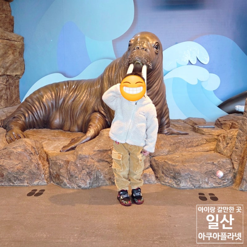 (아이랑 갈만한 곳) 일산 아쿠아플라넷 입장료 할인 및 주차 정보