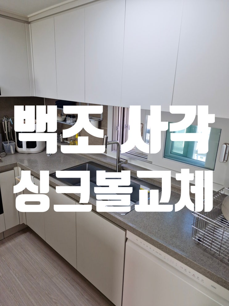  배곧호반센트로하임 백조사각싱크볼교체,CESWSR8835 개수대 설치 현장