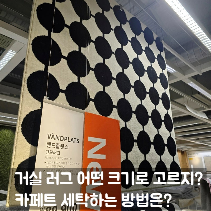 거실 러그 사이즈 고르는법 소재별 카페트 세탁 방법