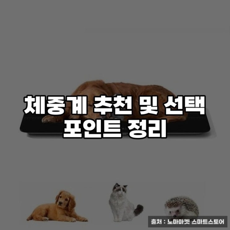  체중계 추천 및 선택 포인트 정리
