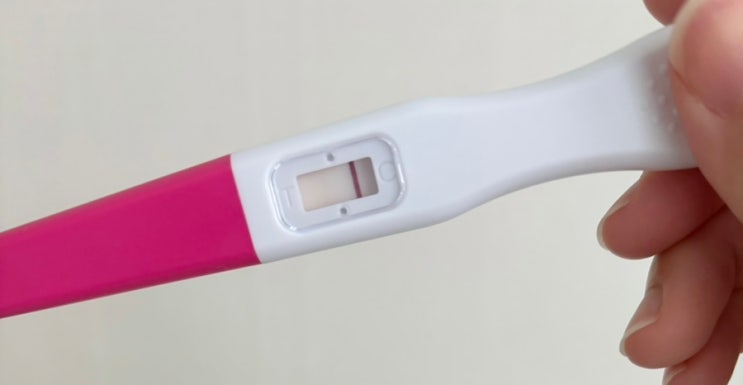  자연임신 임테기 의 노예... 매직아이로 보이다가 단호박 이번달도 아쉽다...