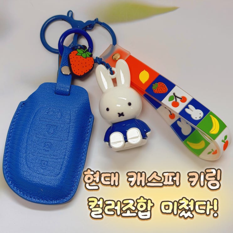  현대 캐스퍼 키케이스 추천! 미피