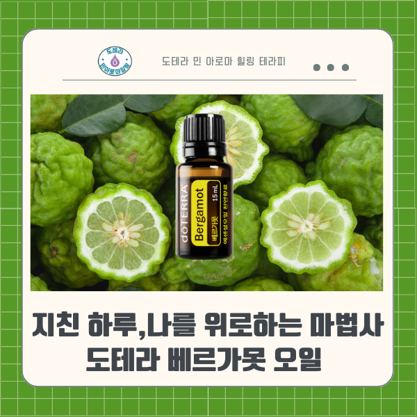  도테라 베르가못 오일의 시트러스 마법, 지친 하루 나를 위로해 줘요